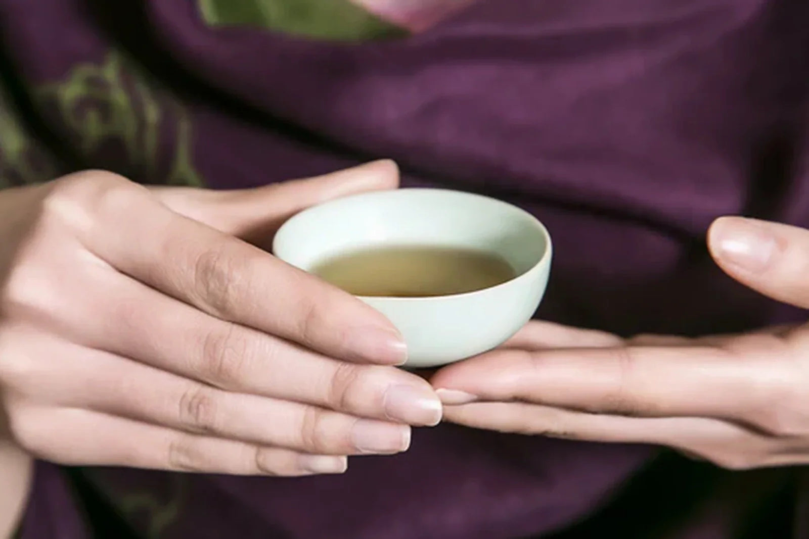 Hands cradling a small celadon cup of pale tea liquor in a soft intimate gongfu ceremony framing